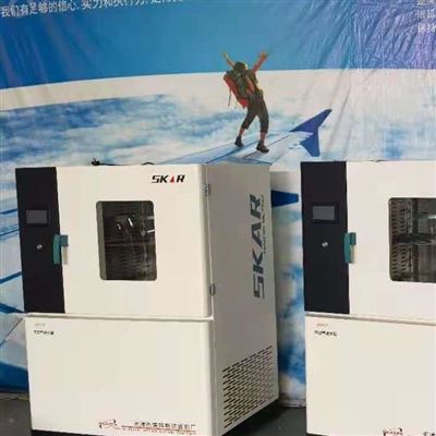 热空气老化箱-调温范围250℃